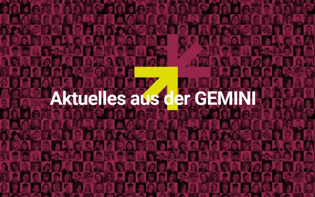 Stellungnahme der GEMINI zu drastischen Kürzungsabsichten bei politischer Jugendbildung